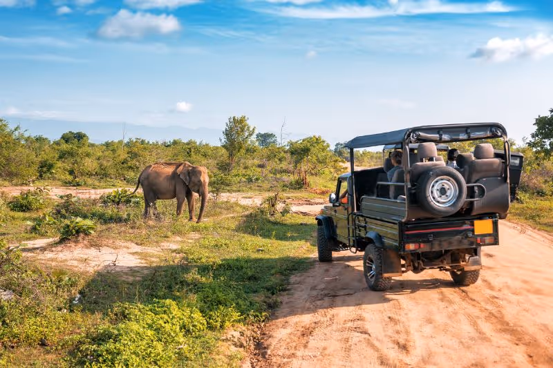 A sfari jeep with an elephant standing nearby