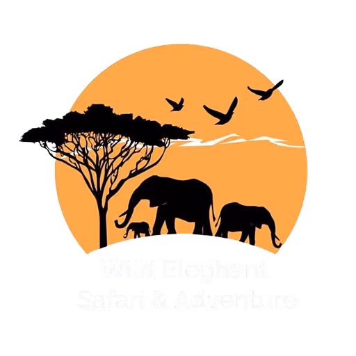 Wild Elephant Safari & Adventures Logo