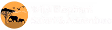 Wild Elephant Safari & Adventures Logo